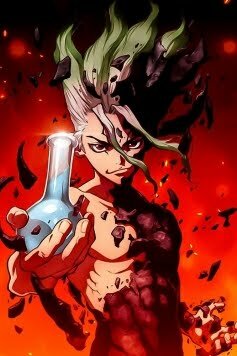 Dr Stone